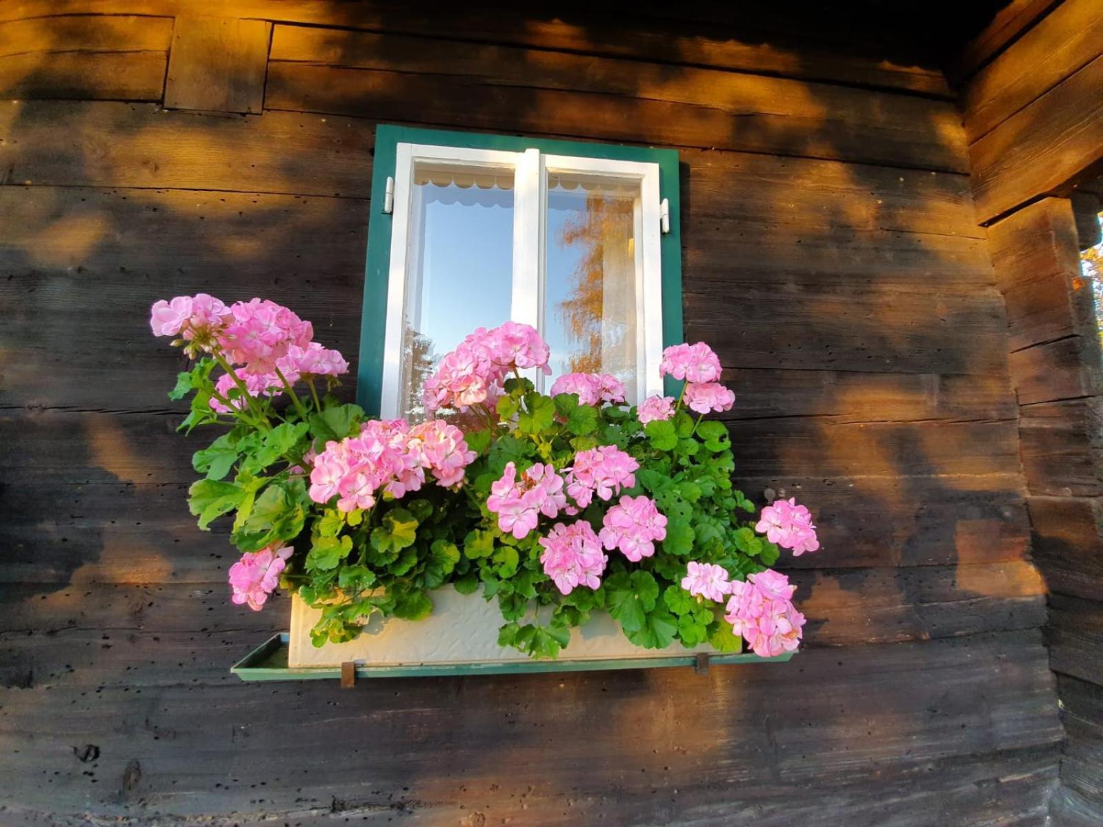Ferienhaus Koglegg Wies Bagian luar foto